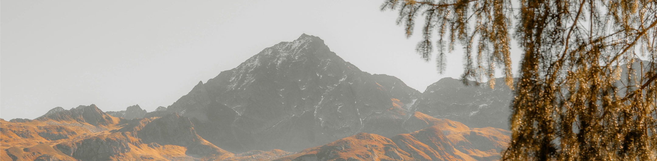Mountain larch peak in the distance