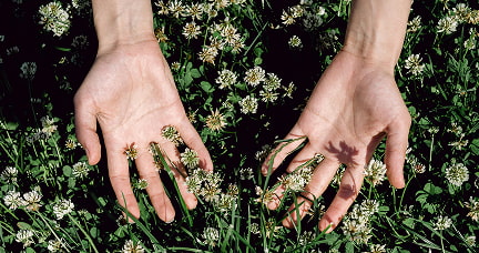 Open hands over clovers