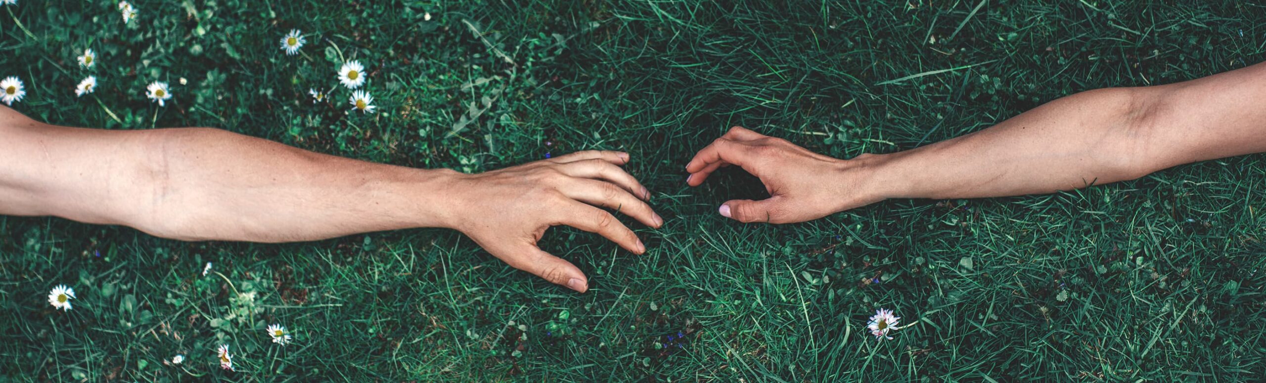 Two arms reaching toward each other across grass with daisies