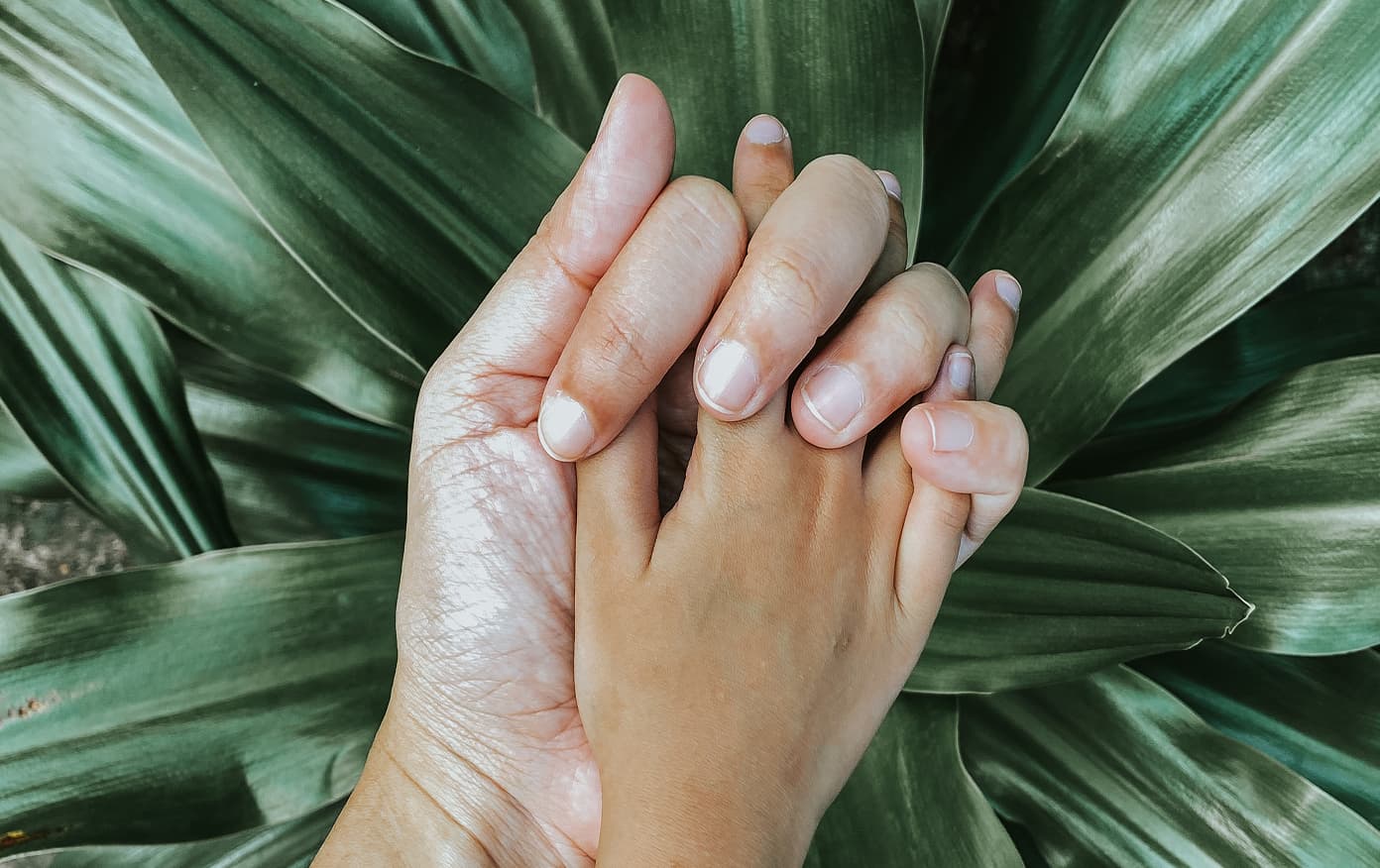 Two clasped hands over green agave leaves