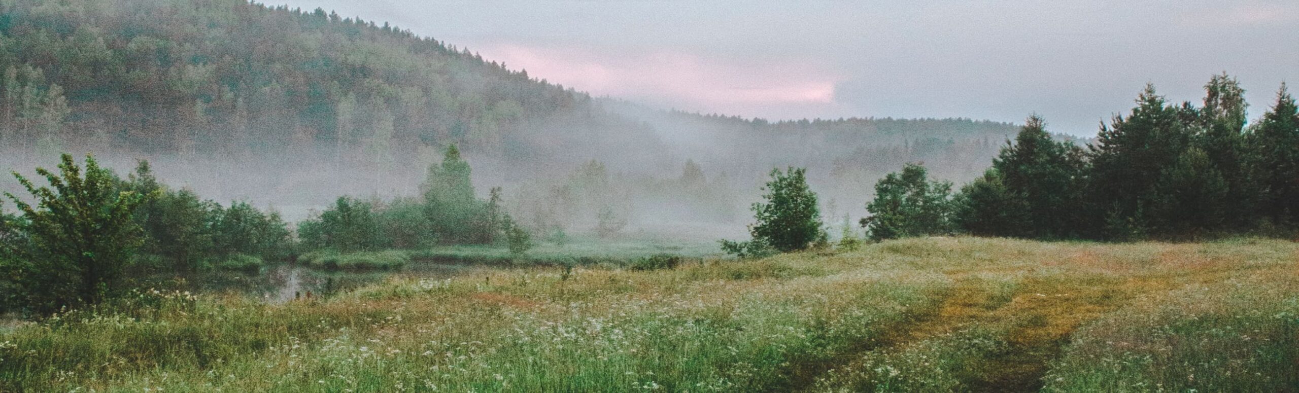 Misty meadow at dawn with a still pond and forested hills under a soft pink sky